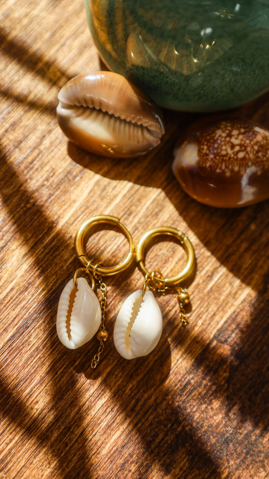 boucles créoles avec pendentif cauri blanc et chaine dorée