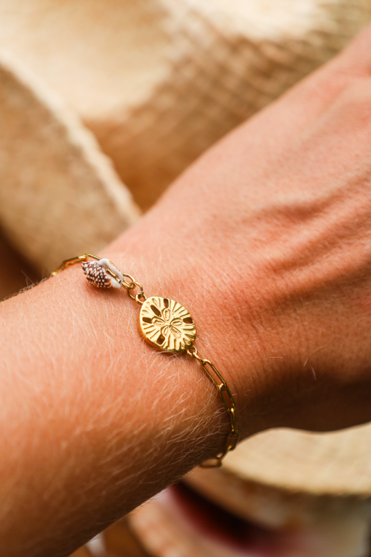 Bracelet en chaine d'acier inoxydable avec pendentif dollar des sables et petit coquillage accroché.