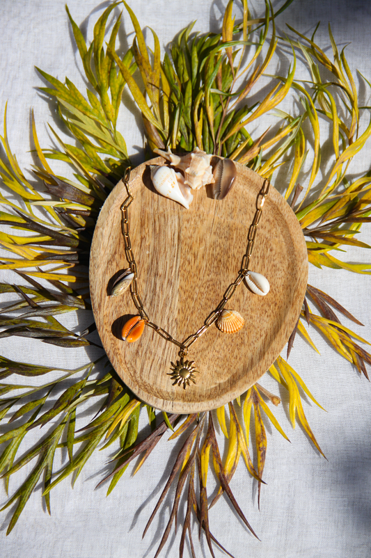 Collier avec chaine en acier inoxydable et 4 coquillages différents avec un petit pendentif soleil