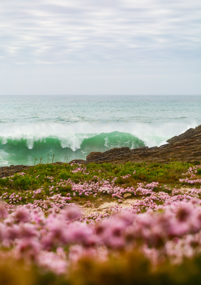 "La vague"