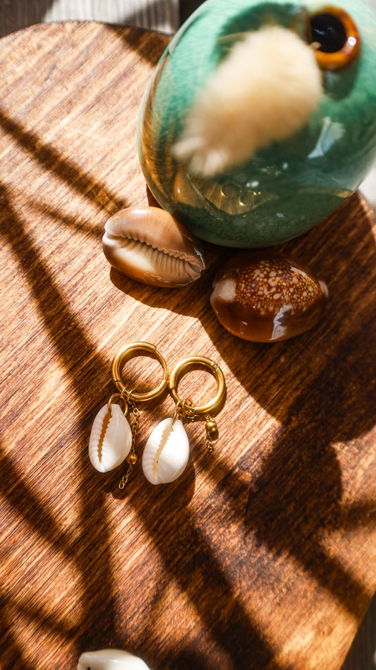 boucles créoles avec pendentif cauri blanc et chaine dorée