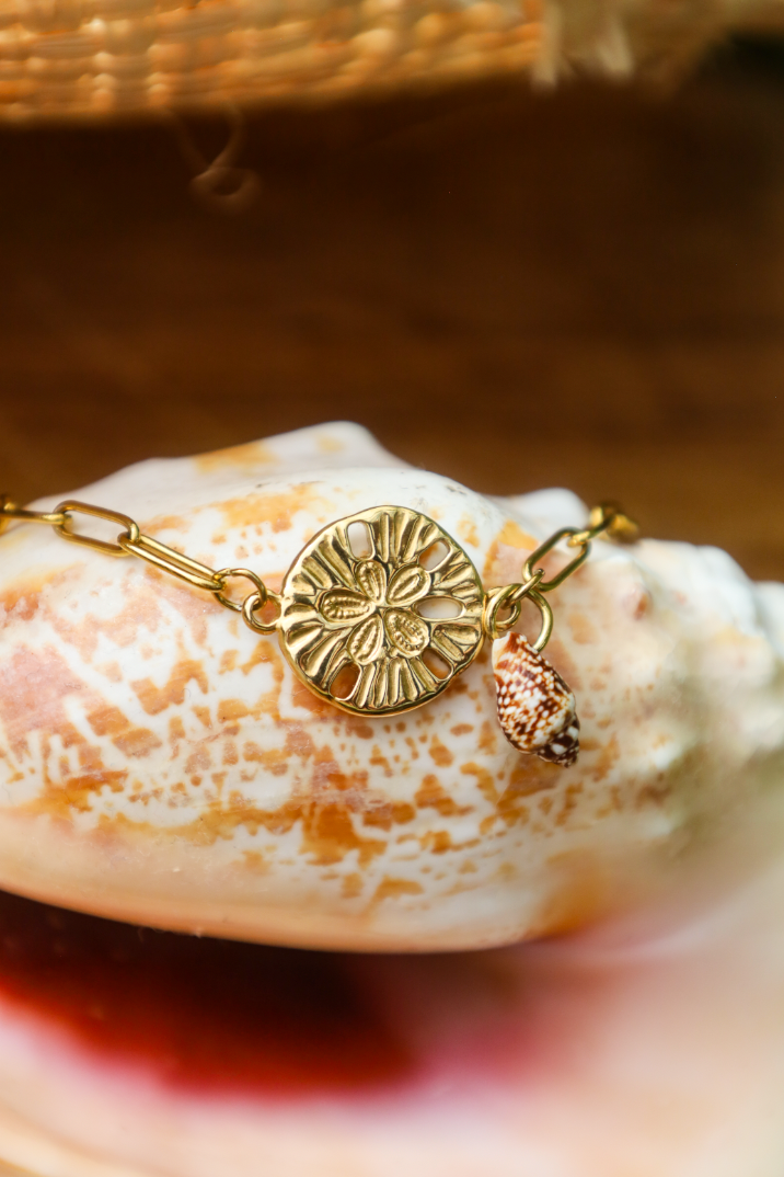 Bracelet en chaine d'acier inoxydable avec pendentif dollar des sables et petit coquillage accroché.
