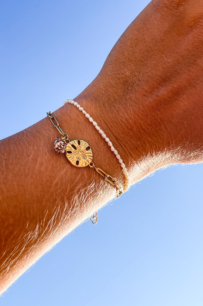Bracelet en chaine d'acier inoxydable avec pendentif dollar des sables et petit coquillage accroché.