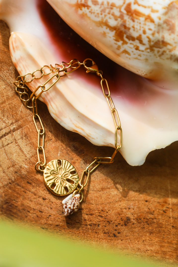 Bracelet en chaine d'acier inoxydable avec pendentif dollar des sables et petit coquillage accroché.