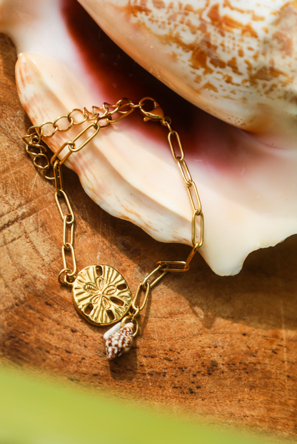 Bracelet en chaine d'acier inoxydable avec pendentif dollar des sables et petit coquillage accroché.