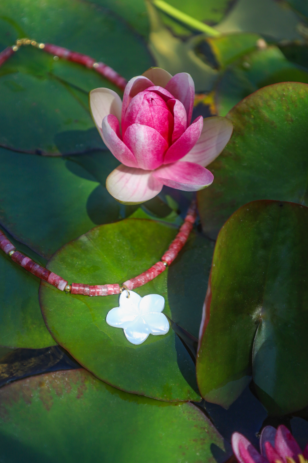  Collier en perles Heishi roses et fleur de nacre