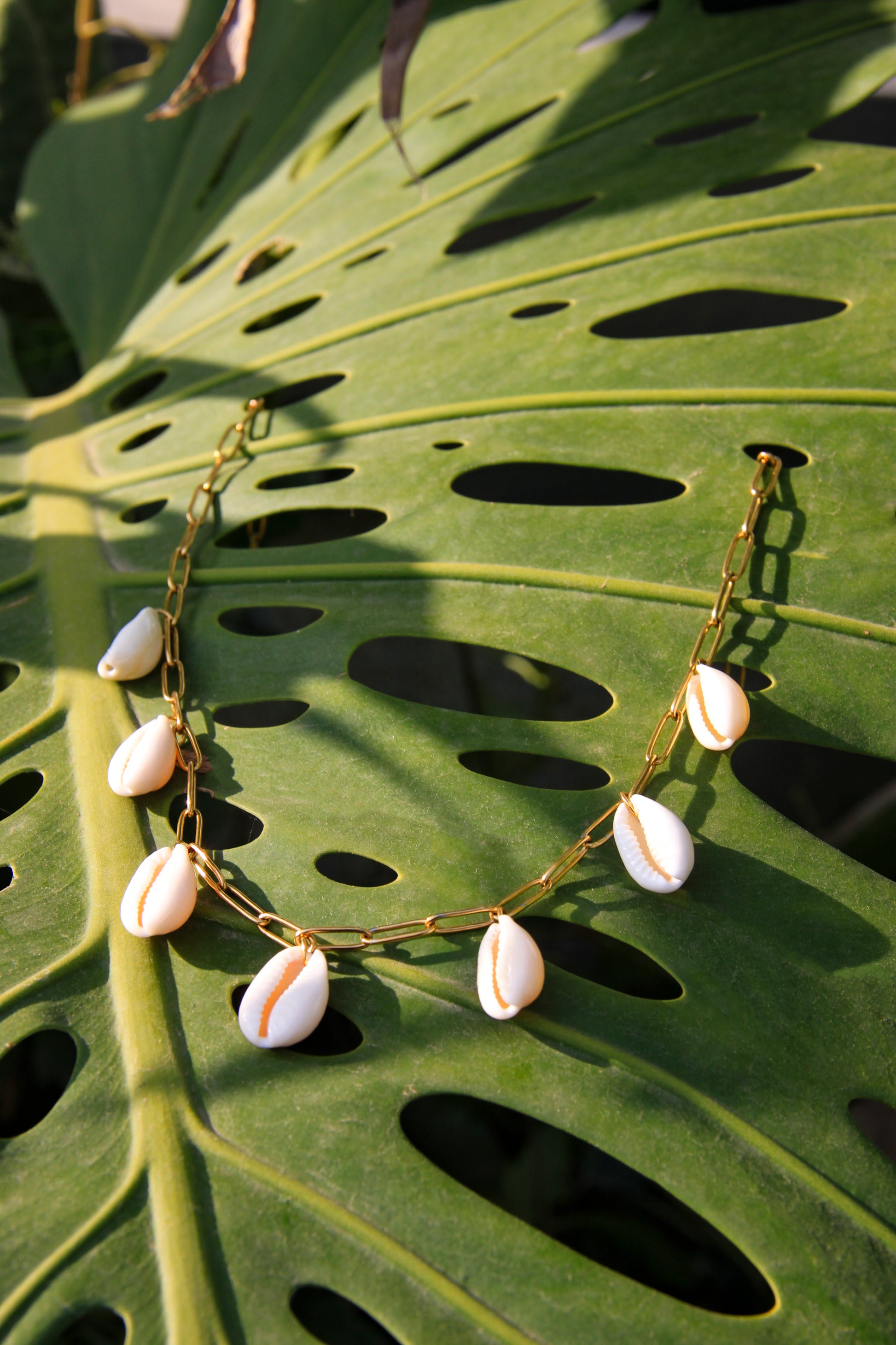 Collier en chaine acier inoxydable et 7 cauris blancs