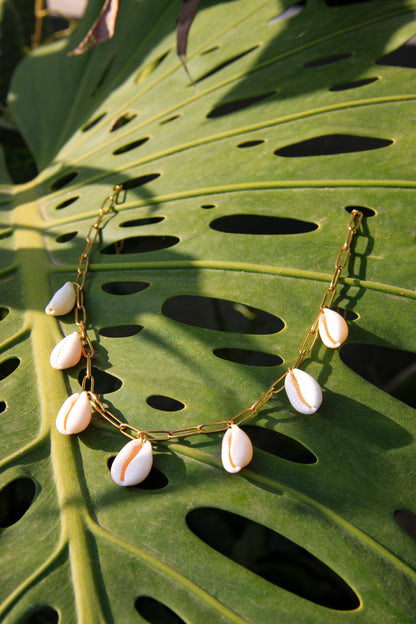 Collier en chaine acier inoxydable et 7 cauris blancs