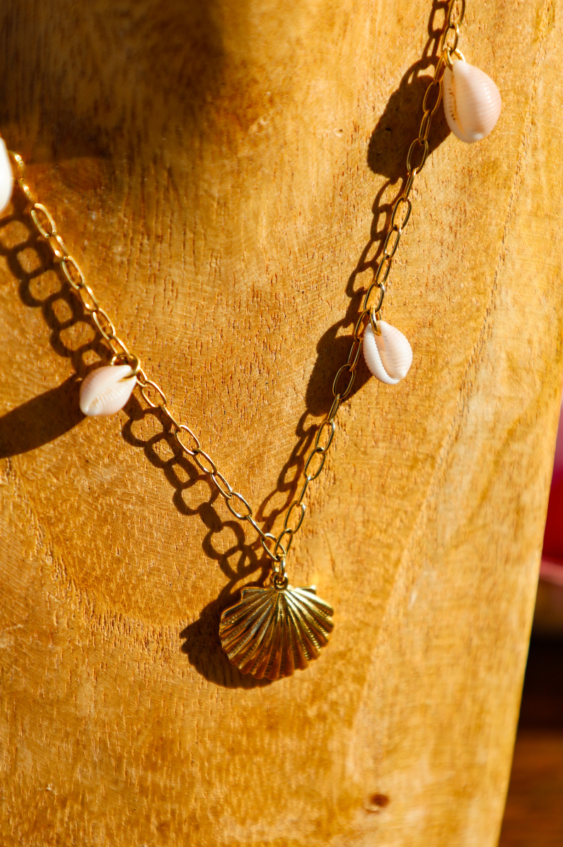Collier chaine dorée pendentif coquillage et pendentifs coquillages grains de café naturels