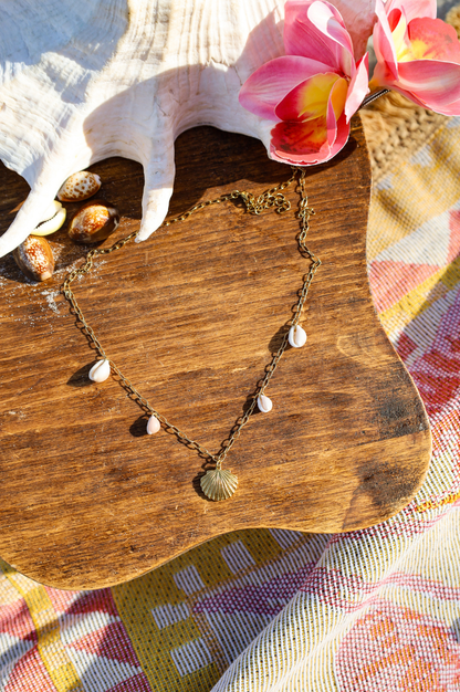 Collier chaine dorée pendentif coquillage et pendentifs coquillages grains de café naturels