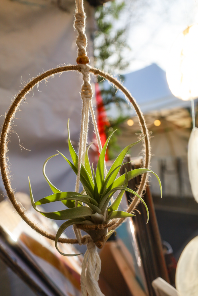 Suspension pour plante sèche en macramé ornée d'un cercle recouvert de ficelle de jute.