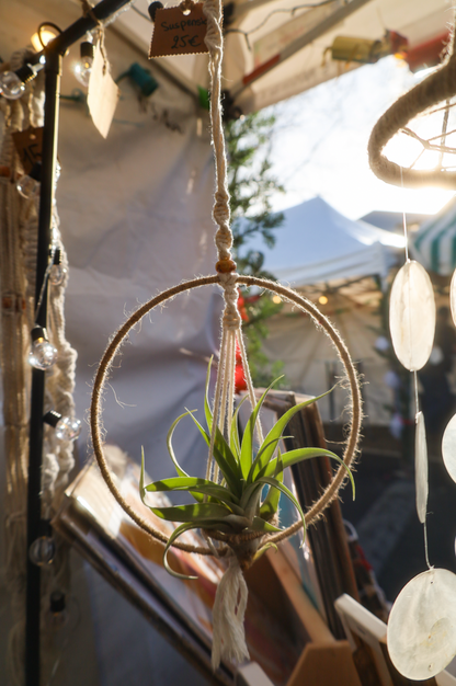 Suspension pour plante sèche en macramé ornée d'un cercle recouvert de ficelle de jute.