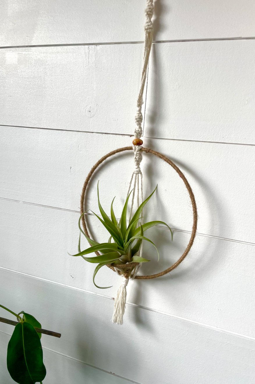 Suspension pour plante sèche en macramé ornée d'un cercle recouvert de ficelle de jute.
