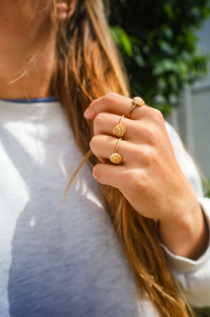 Bague acier inoxydable réglable avec coquillage bicoque marron
