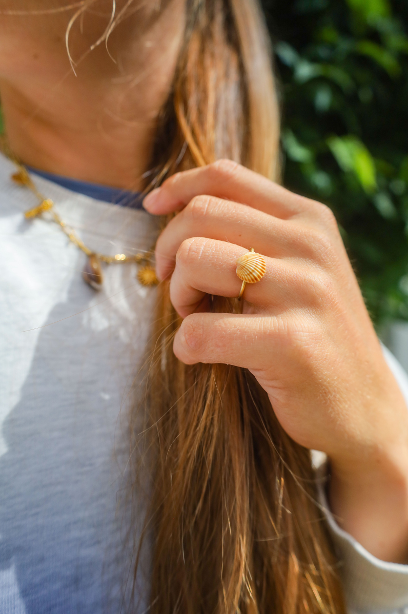 Bague acier inoxydable réglable avec coquillage bicoque marron