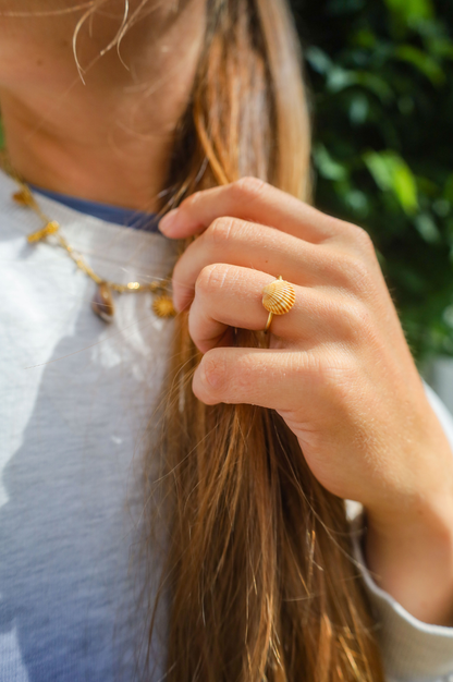 Bague acier inoxydable réglable avec coquillage bicoque marron