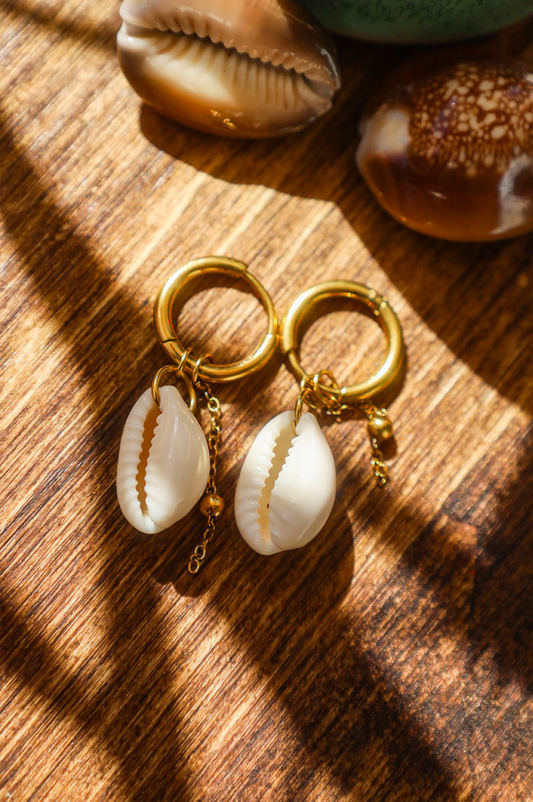 boucles créoles acier inoxydable avec cauri blanc et chaine boule dorée